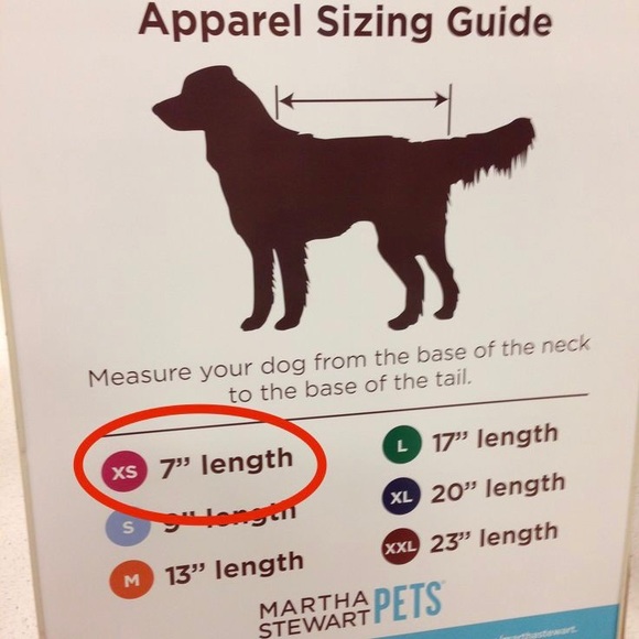 Martha Stewart Pets Red & White Polka Dot Tutu Dog Dress - Picture 4 of 4